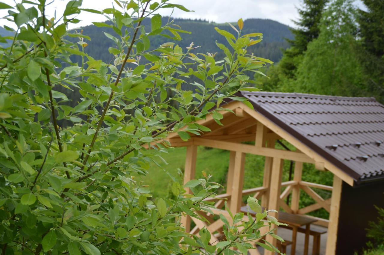 Villa Пагорб Їжака / Hedgehog Hill Yablunytsya Esterno foto